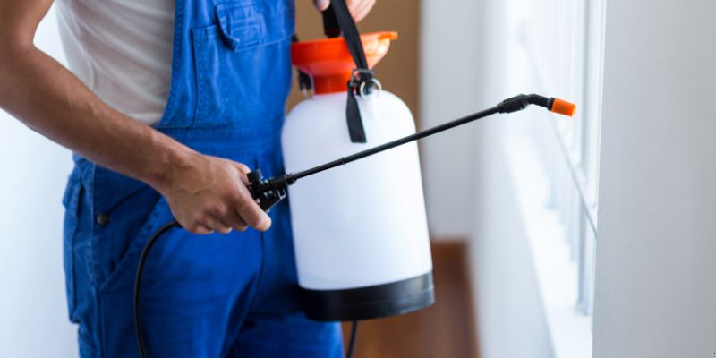 Como fazer dedetização em casa em Brasília